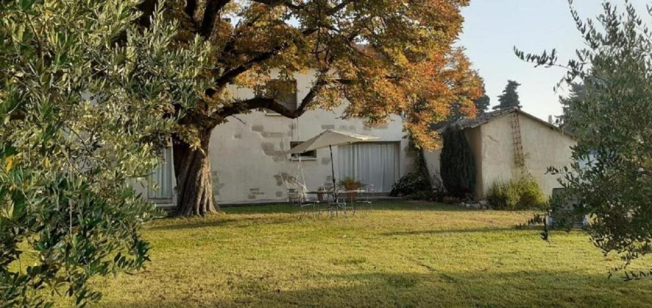 Le Petit Mas En Provence Avec Piscine Villa Barbentane Buitenkant foto